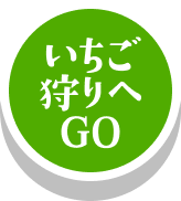いちご狩りへゴー